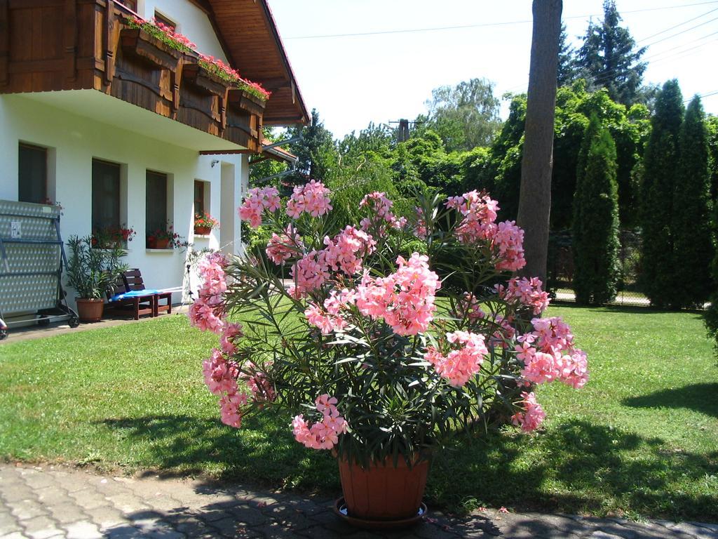 Sommer Panzio Балатонфельвар Екстер'єр фото